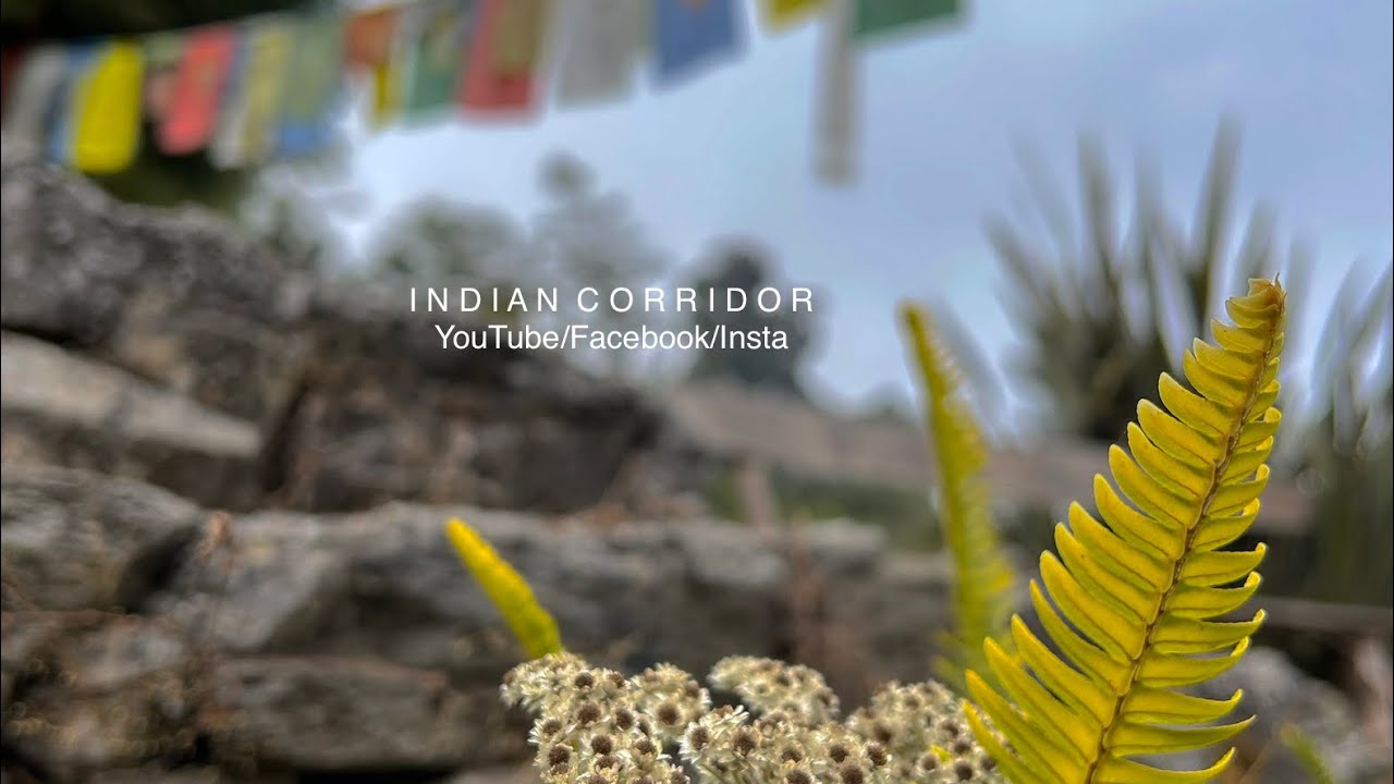 RISHOP | LAVA HIKING ROUTE | TIFFIN DARA TREK | SYLVAN HOMESTAY