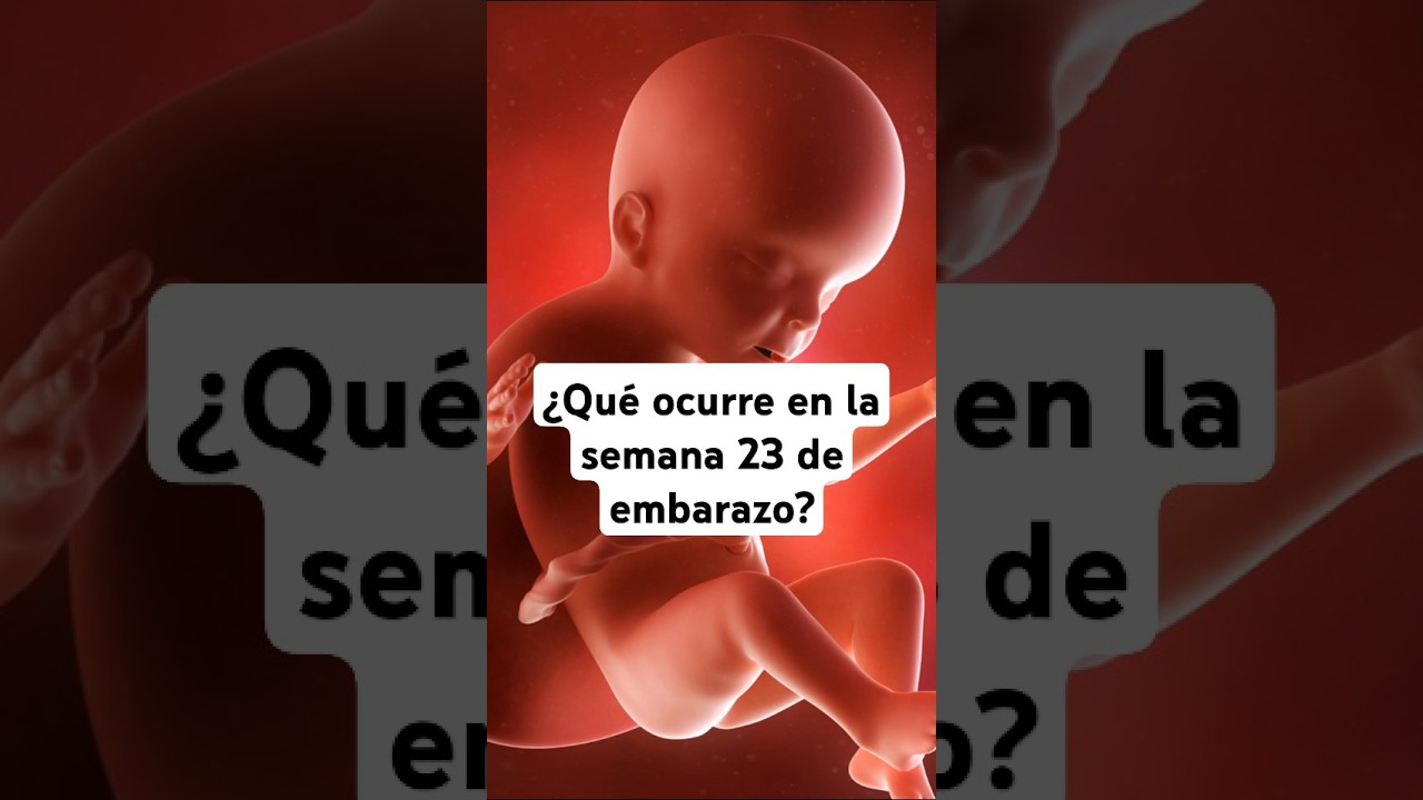 🤔 &iquest;Qu&eacute; ocurre en la semana 23 de embarazo? 🤰 S&iacute;ntomas y desarrollo del beb&eacute;