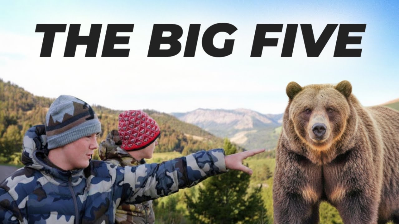 Can You Really See Them All in One Day? (Yellowstone)