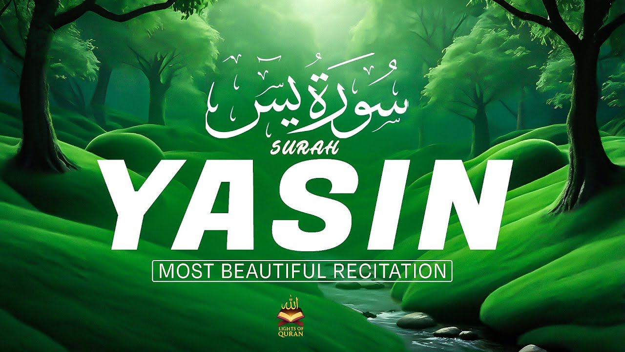 Surah Yaseen (Yasin) سورة يس | Ultimate Healing Quran for Deep Sleep & Protection | #surahyaseen