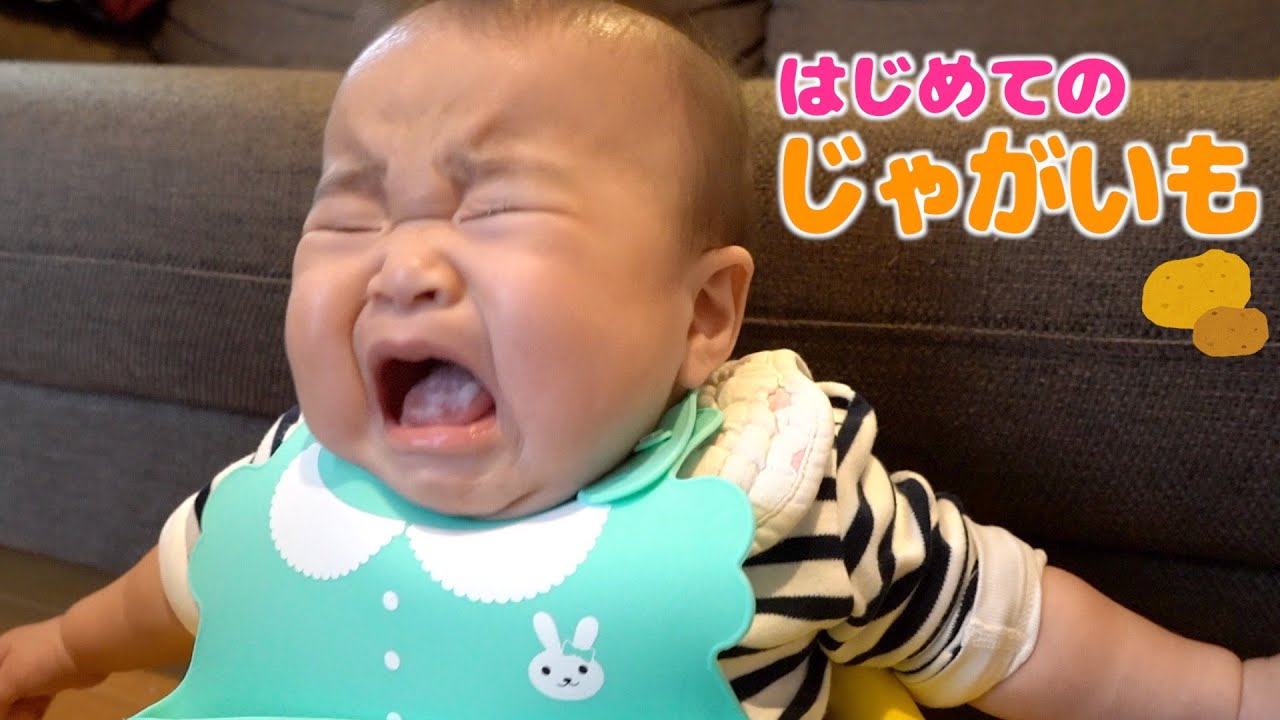 初めてのじゃがいも！最近美味しい時は手や首を振ってくれます【生後８ヶ月】Yune eats potatoes for the first time.