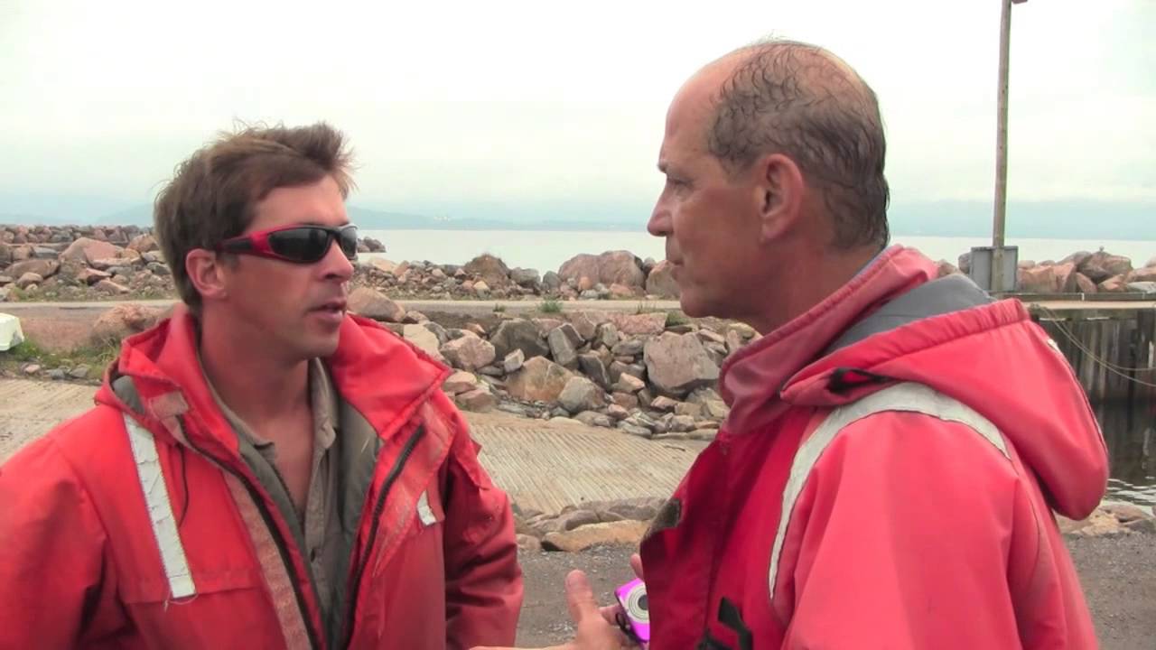 GolfGetaways: Zodiac Whale Watching, Cape Breton