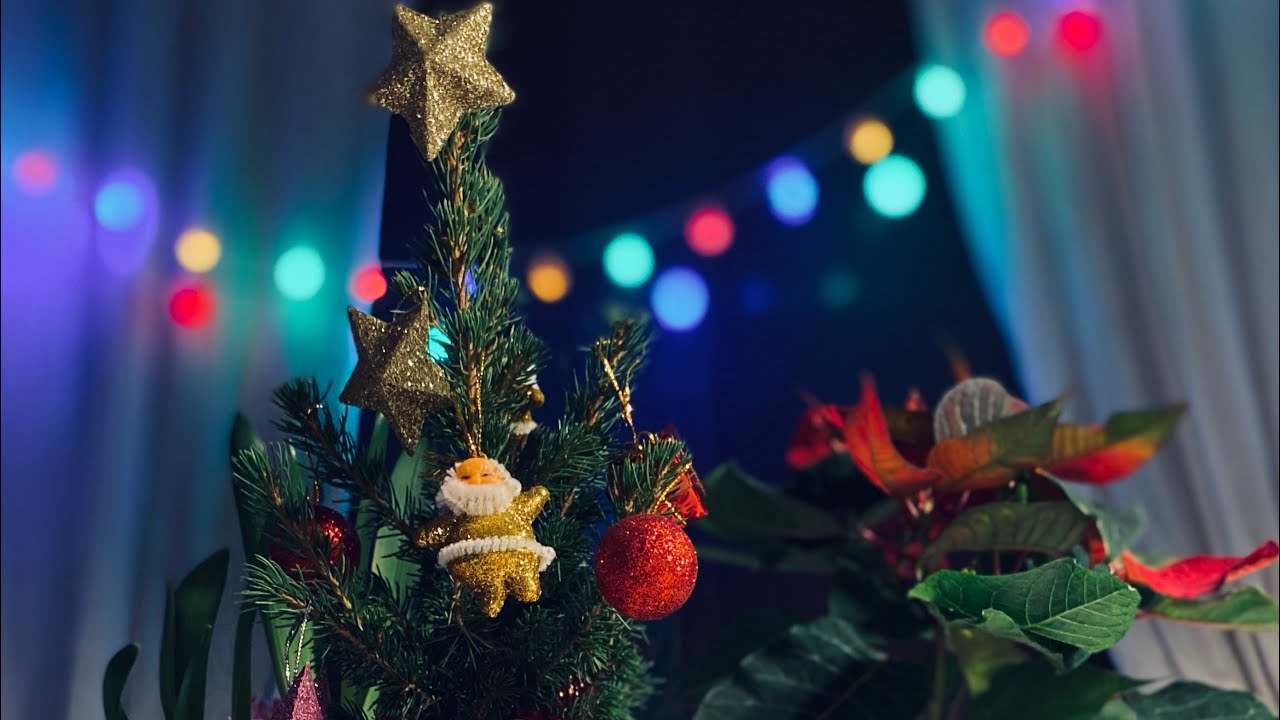 ТАРО ДЛЯ МУЖЧИН🖤 ПРЕДНОВОГОДНИЙ ПОТОКОВЫЙ РАСКЛАД 🎉🎄🎊🪅🎍🎅🥂🍾🍾