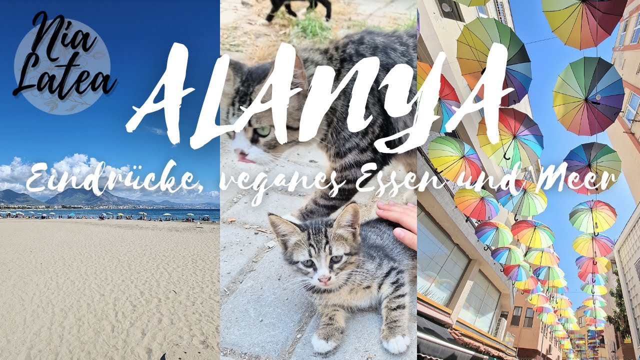 Impression Alanya I Veganes Essen & Meer