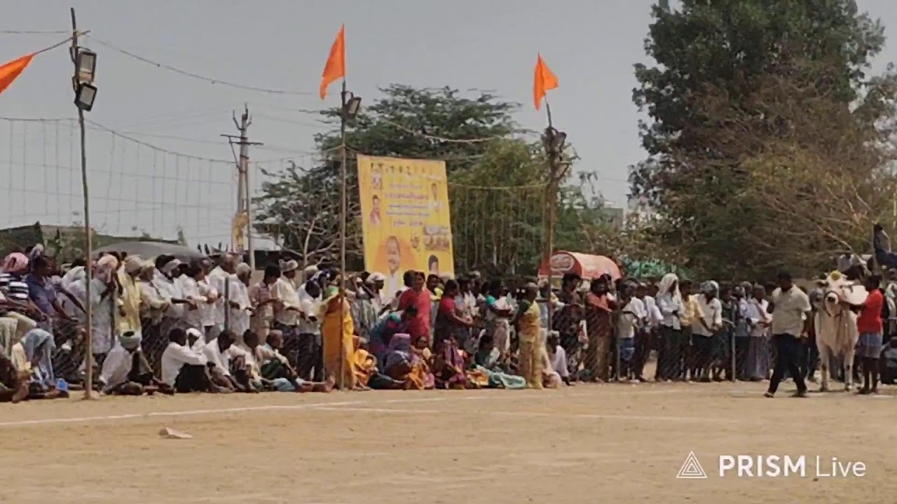 3జత సీనియర్లు||ఆకుల గణపవరం-2026 ||అక్కినేని ముకుల్ సత్య చౌదరి గారు