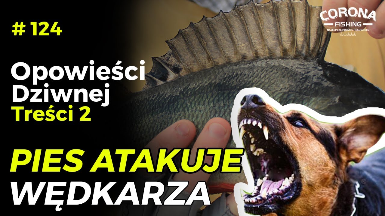 #124 Historie wędkarskie - ODT - Pies atakuje wędkarza