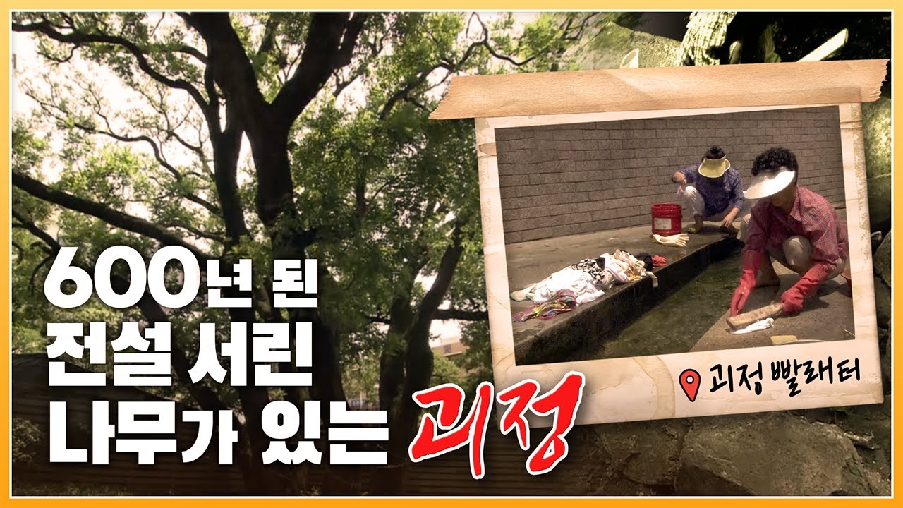 '괴정' 마을 사람들이 죽은 뒤, 그 자리에 8개의 나무가지가 자라나 지금의 회화나무가 된데서 유래된 이름 / 골목 한가운대 위치한 빨래터 [ 포토에세이 골목 ] 20090803