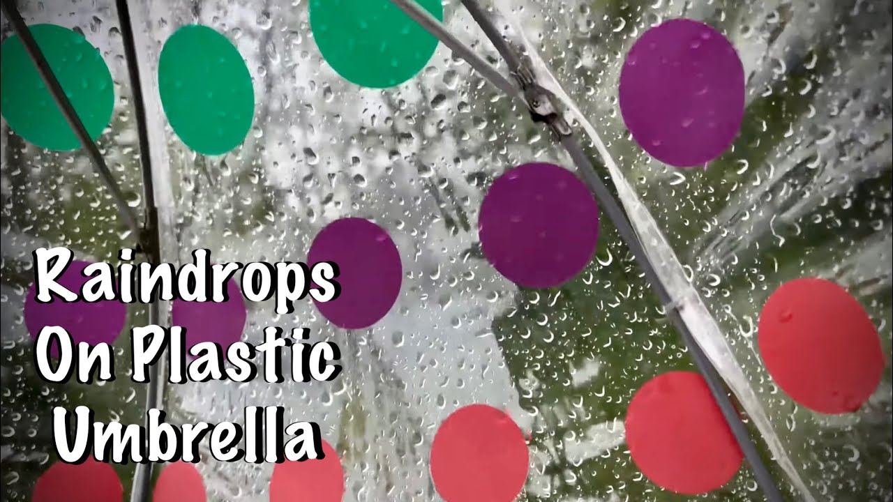 ASMR Rain on plastic umbrella (No talking) Running water/Birds/Country walk in Tennessee!