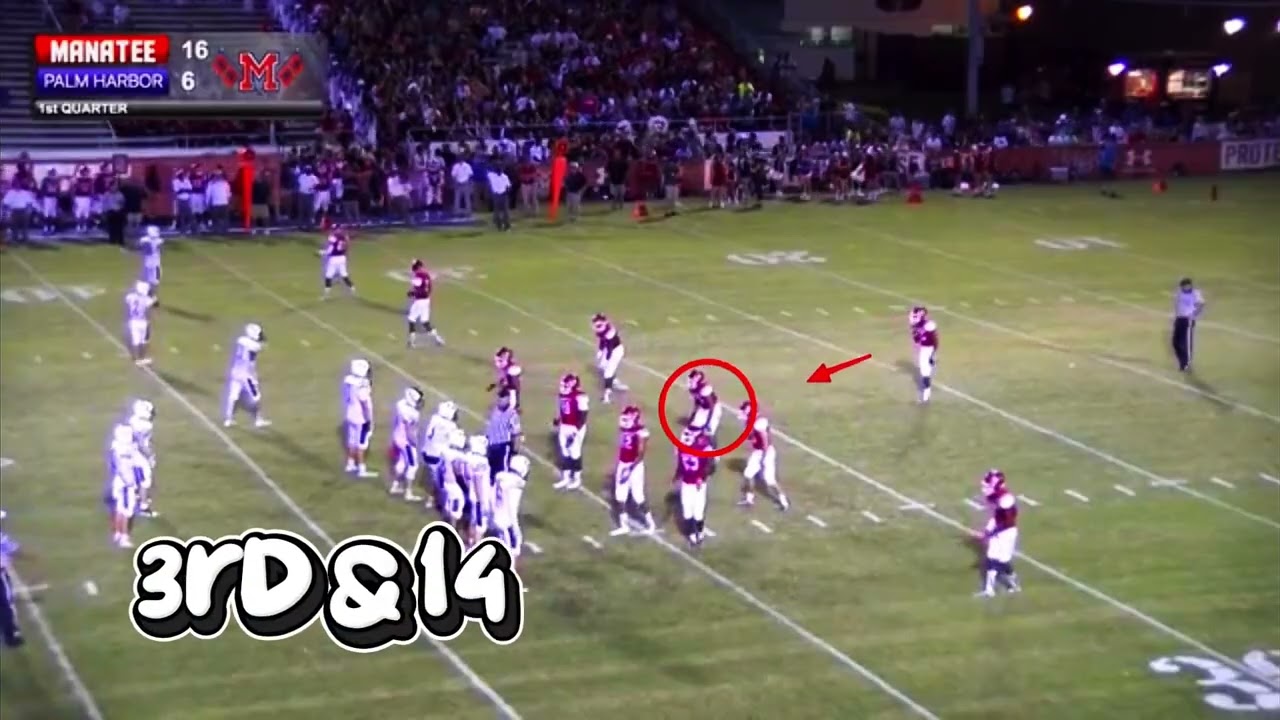 Joseph Lui (Middle Linebacker) #43 Manatee High School vs Palm Harbor University High School 2017
