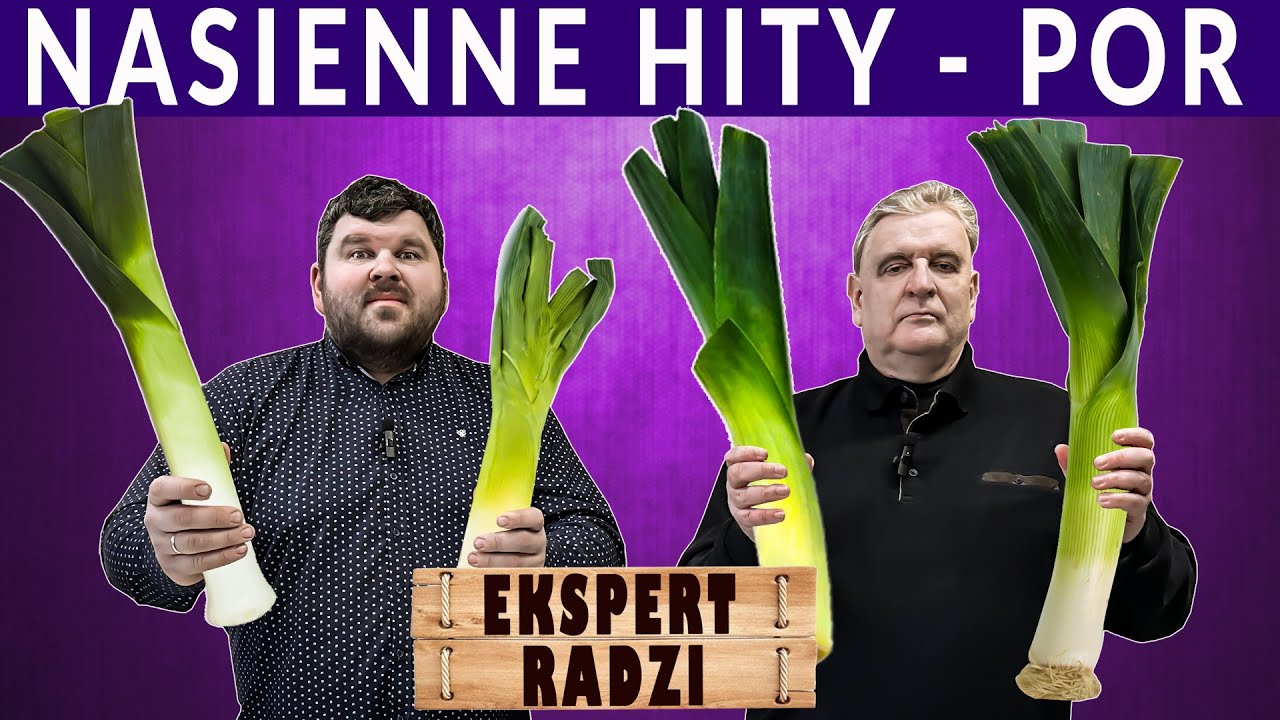 Najlepsze, sprawdzone odmiany pora do wysiewu. Porady eksperta.