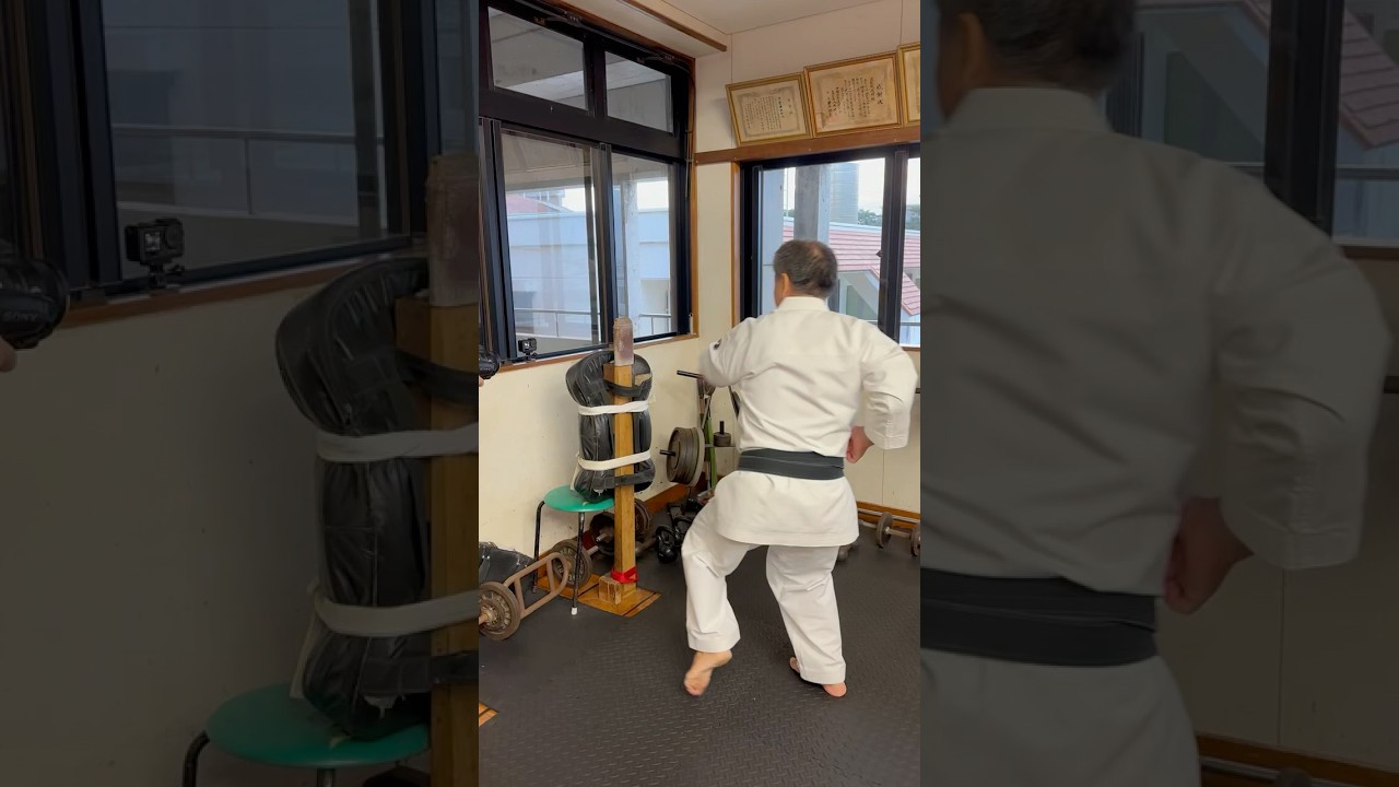The Most Dangerous Punch❗️| Makiwara (巻藁) Training | IKEMIYAGI MASAAKI #gojuryu #ikemiyagidojo