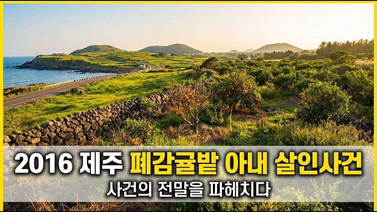 제주 감귤밭에서 벌어진 충격 사건?! 😱