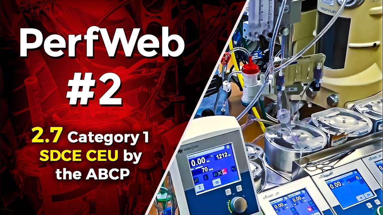PerfWeb 2 - Generational Differences In Work Ethics In Perfusion. Perfusion Education