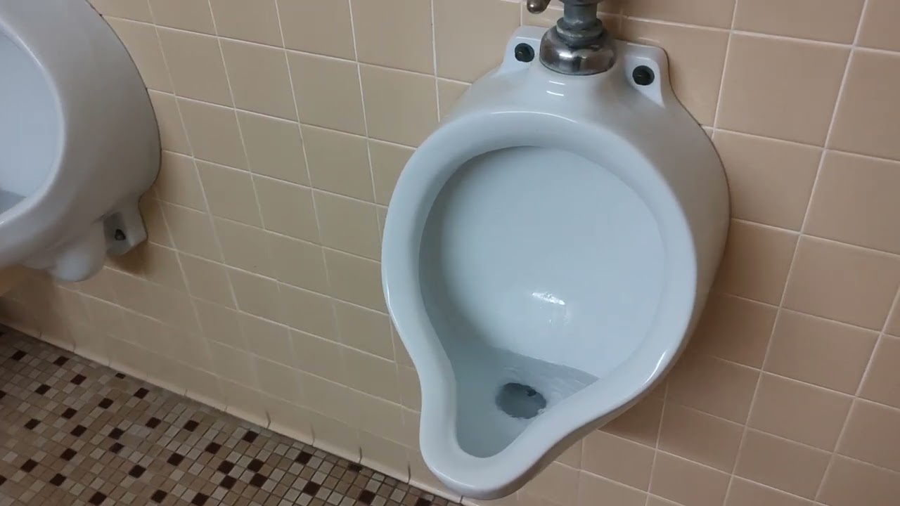 [164] Crane Manhattan Urinals and Kohler Highcrest Toilets in C-N Stokely Building