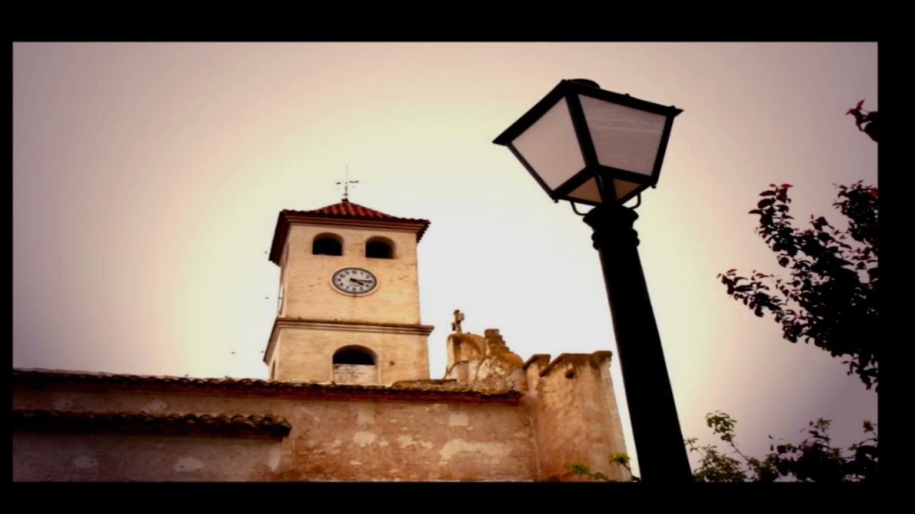 CAÑADA DEL TRIGO PINOS JUMILLA 2021