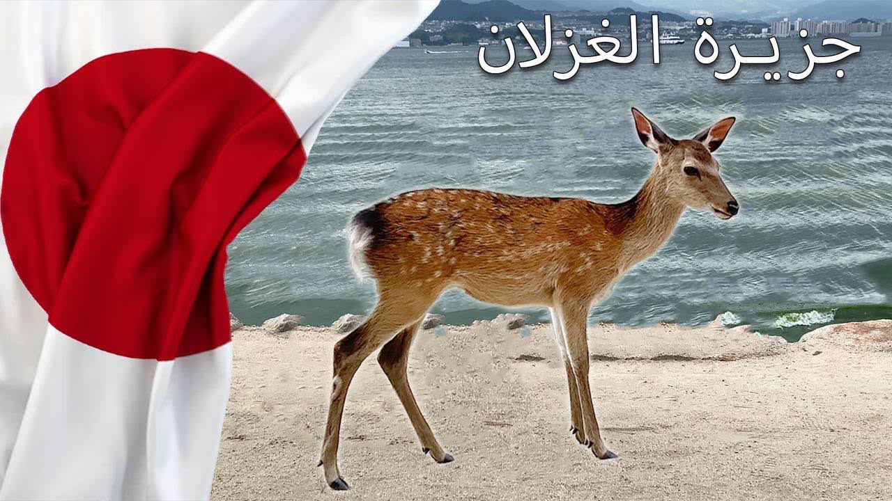 جزيرة الغزلان في اليابان