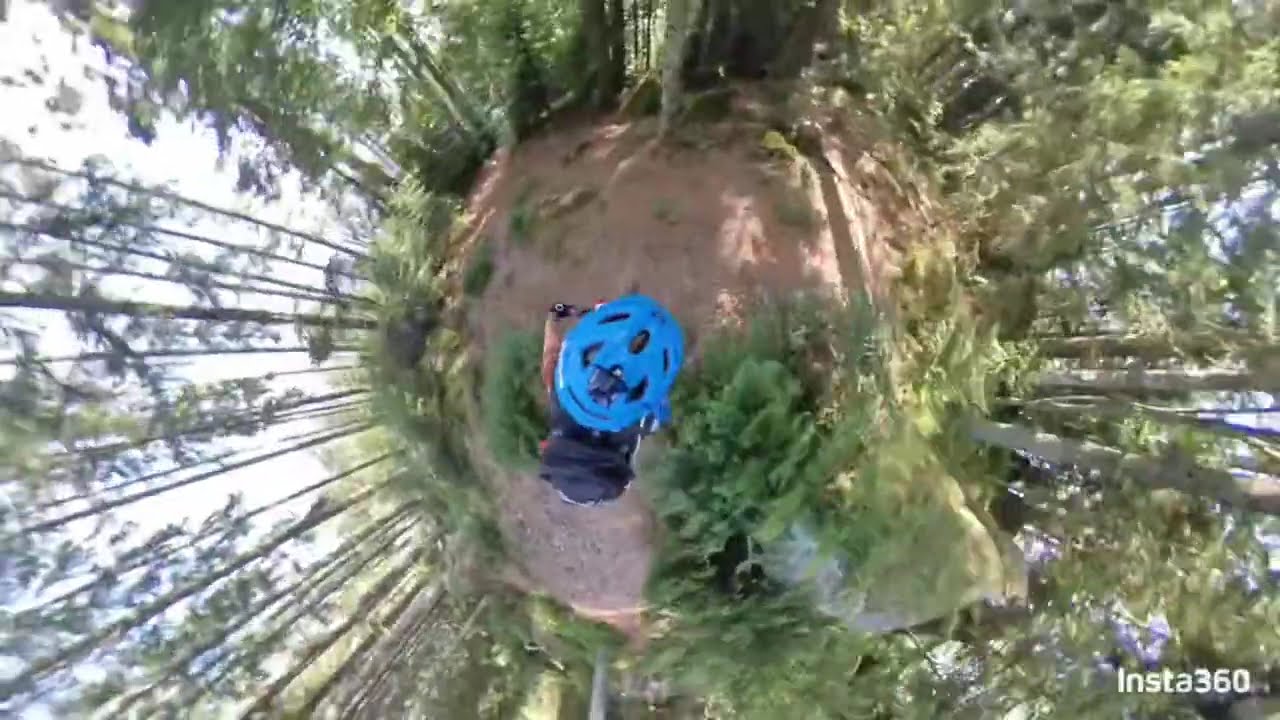 Mountainbiken in den Vogesen
