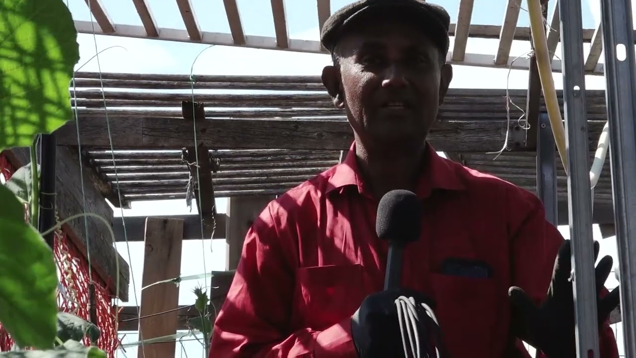 PGM Probashe Cash Ep 02 Part 01