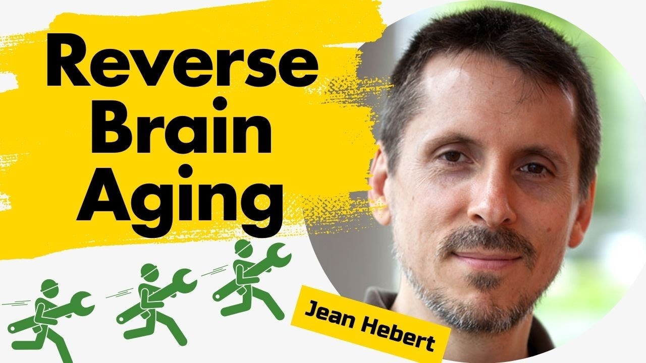 Amazing New Way To Reverse Brain Aging - Jean Hebert | Existential Threads