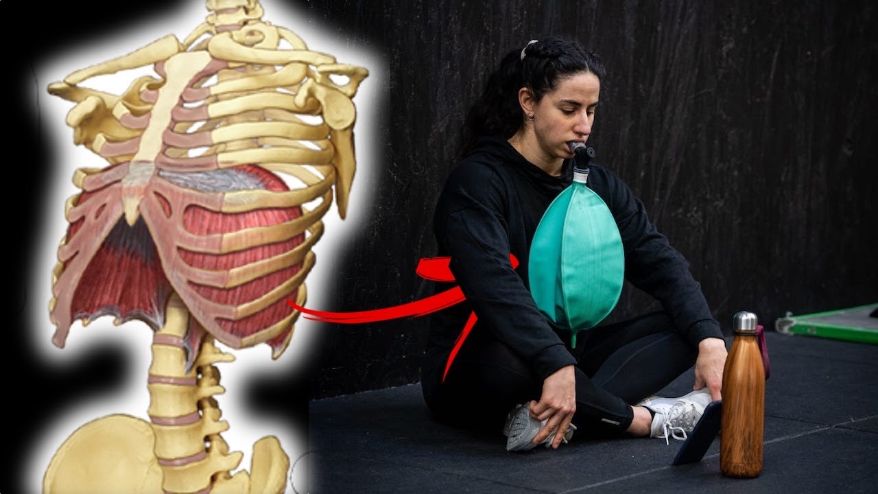 Comment Faire Travailler les Muscles Respiratoires?
