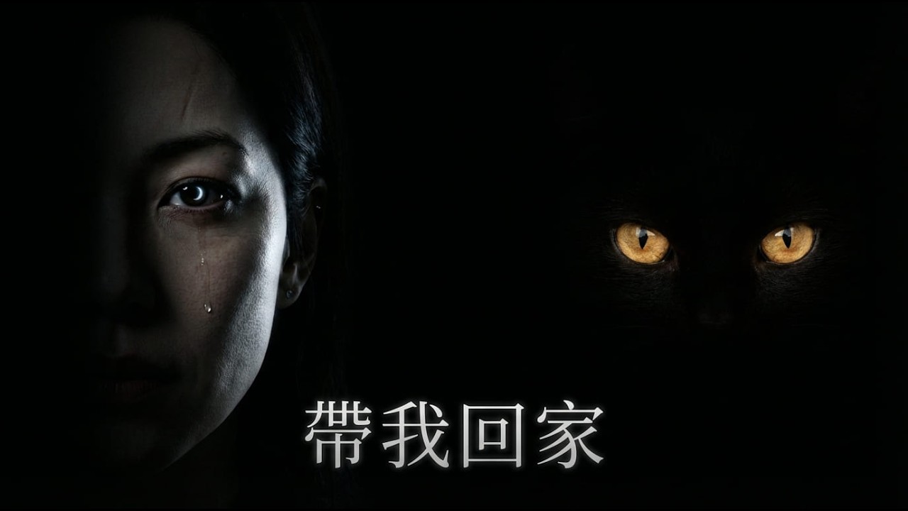 《帶我回家》｜獻給所有還在尋找的人｜電影《第七隻貓》主題曲 Official MV