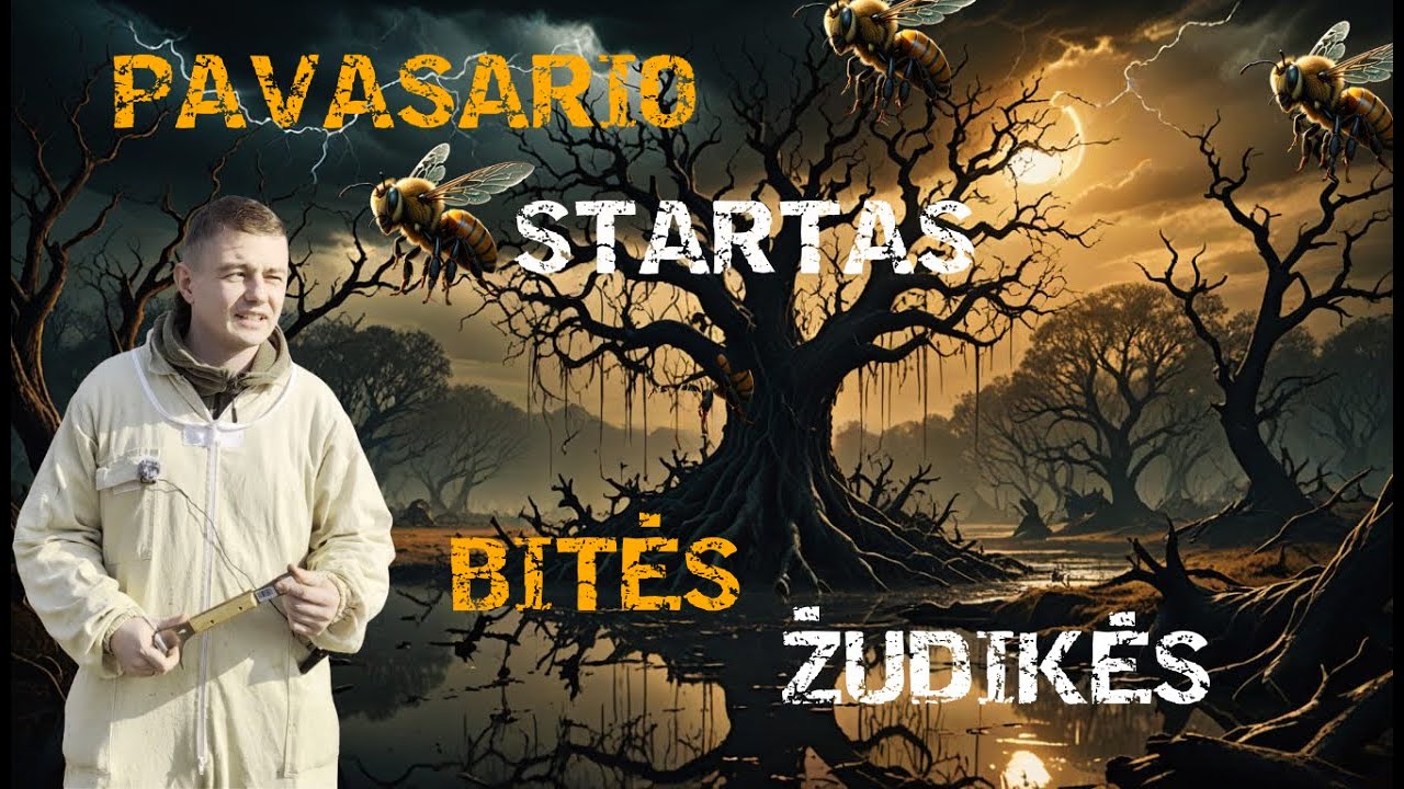 PAVASARIO STARTAS SU BITĖMIS ŽUDIKĖMIS