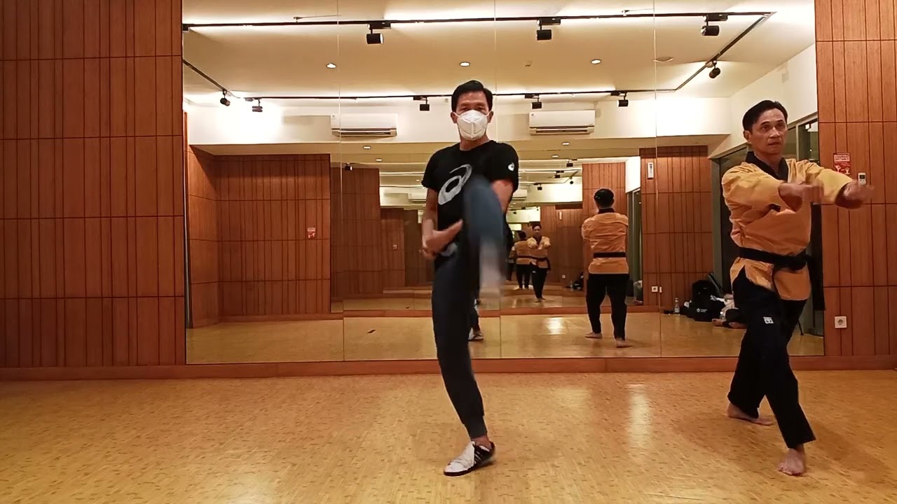Sipjin Poomsae step by step