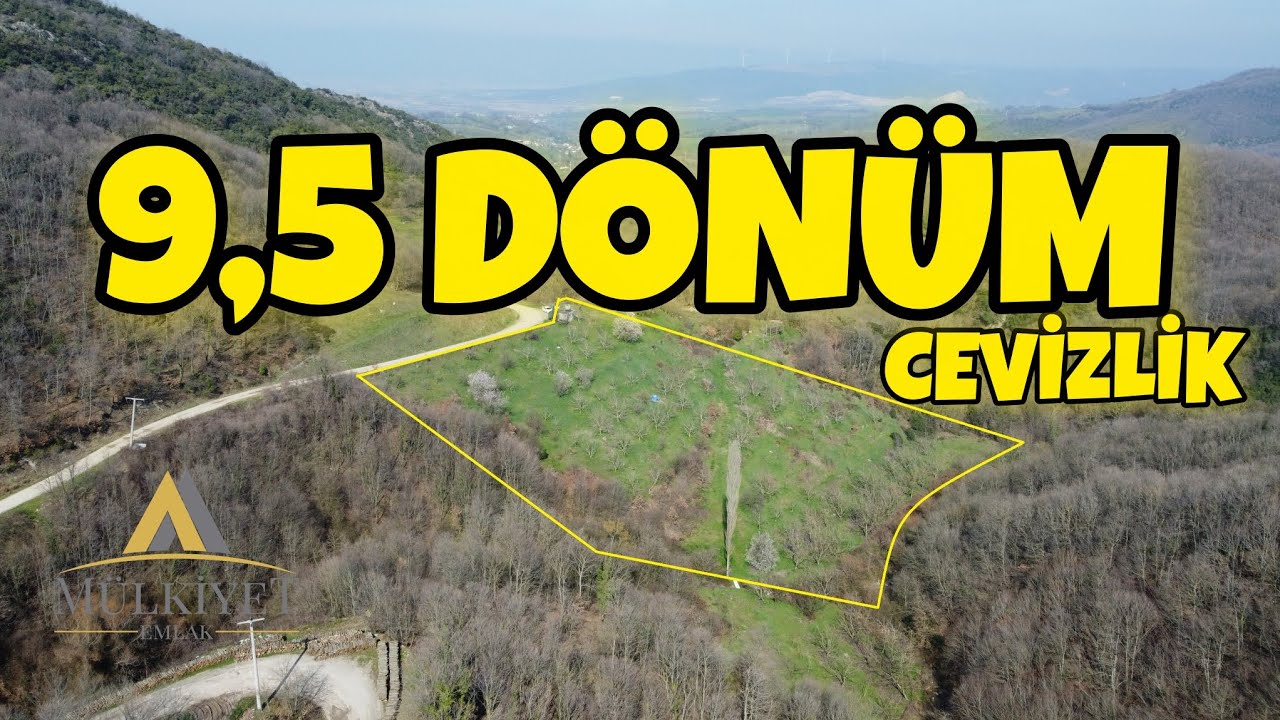GÖNEN ÜÇPINARDA 9.5 DÖNÜM CEVİZ BAHÇESİ