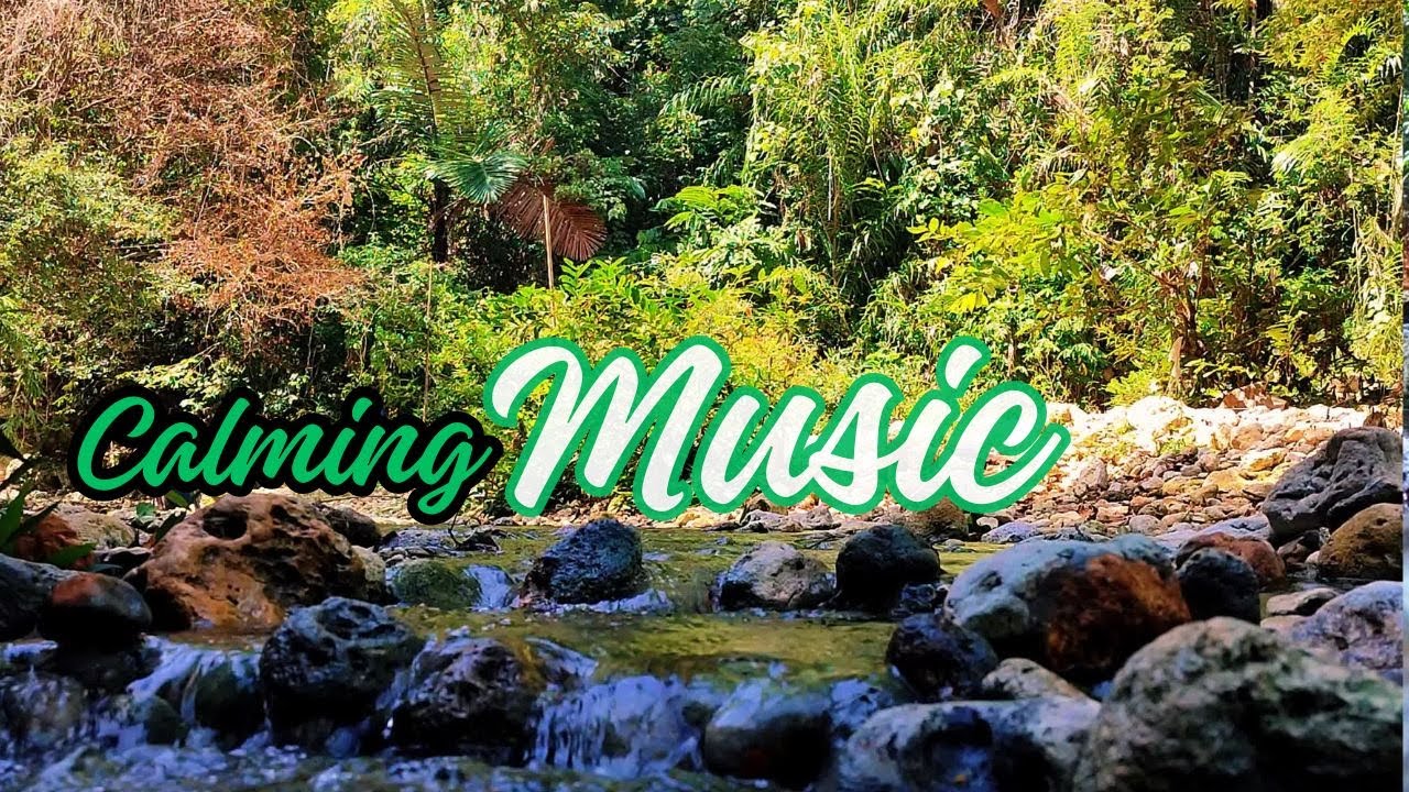 Mountain River Flowing Sounds 24/7 | Nature Sounds White Noise | Flowing Water for Deep Sleep 12