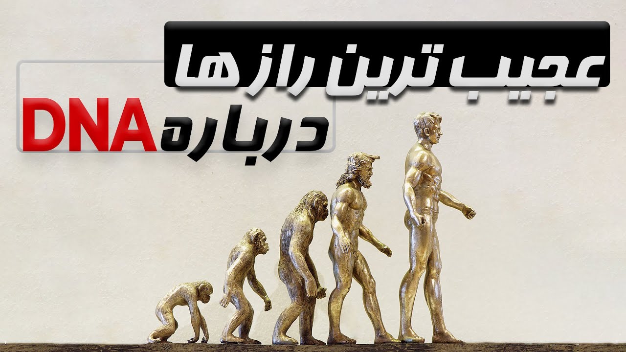 علمی اما جذاب، تازه ترین و عجیب ترین کشفیات درباره DNA