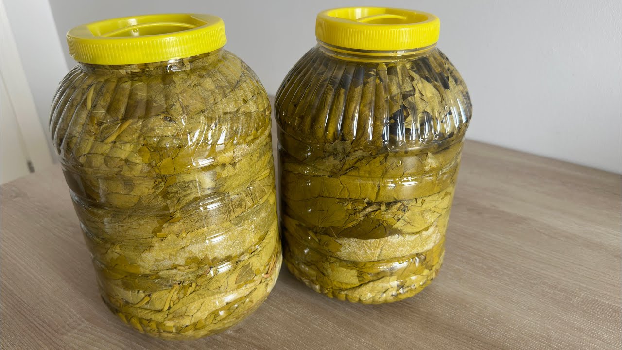 ✋LİMON GİBİ SALAMURA ‼️YAPRAK NASIL YAPILIR 5 KG BİDONA KAÇ KİLO YAPRAK SIĞAR☺️Cevaplara Gelin🥰