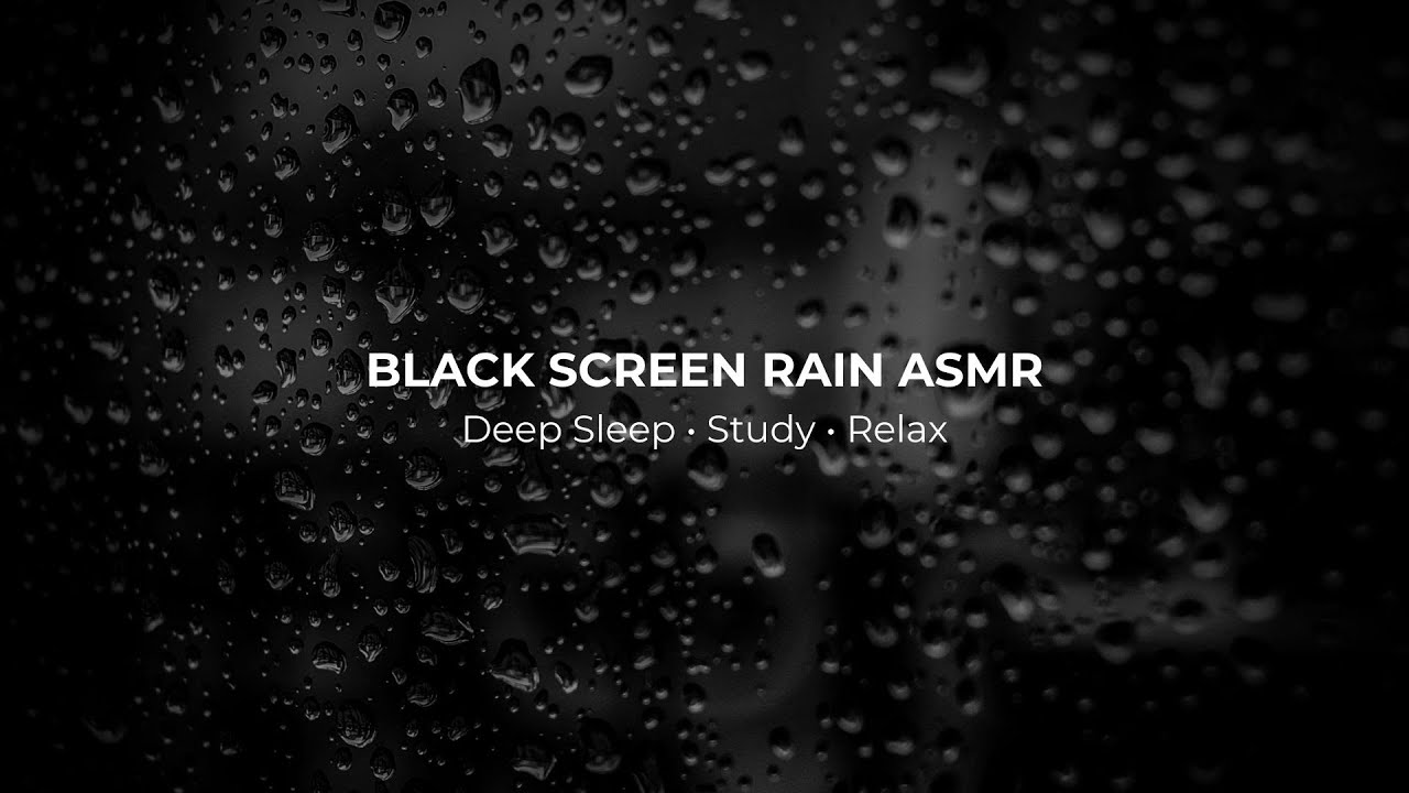Pure Forest Rain for Sleep 🌙 Black Screen Rain ASMR | 8 Hours (No Talking)