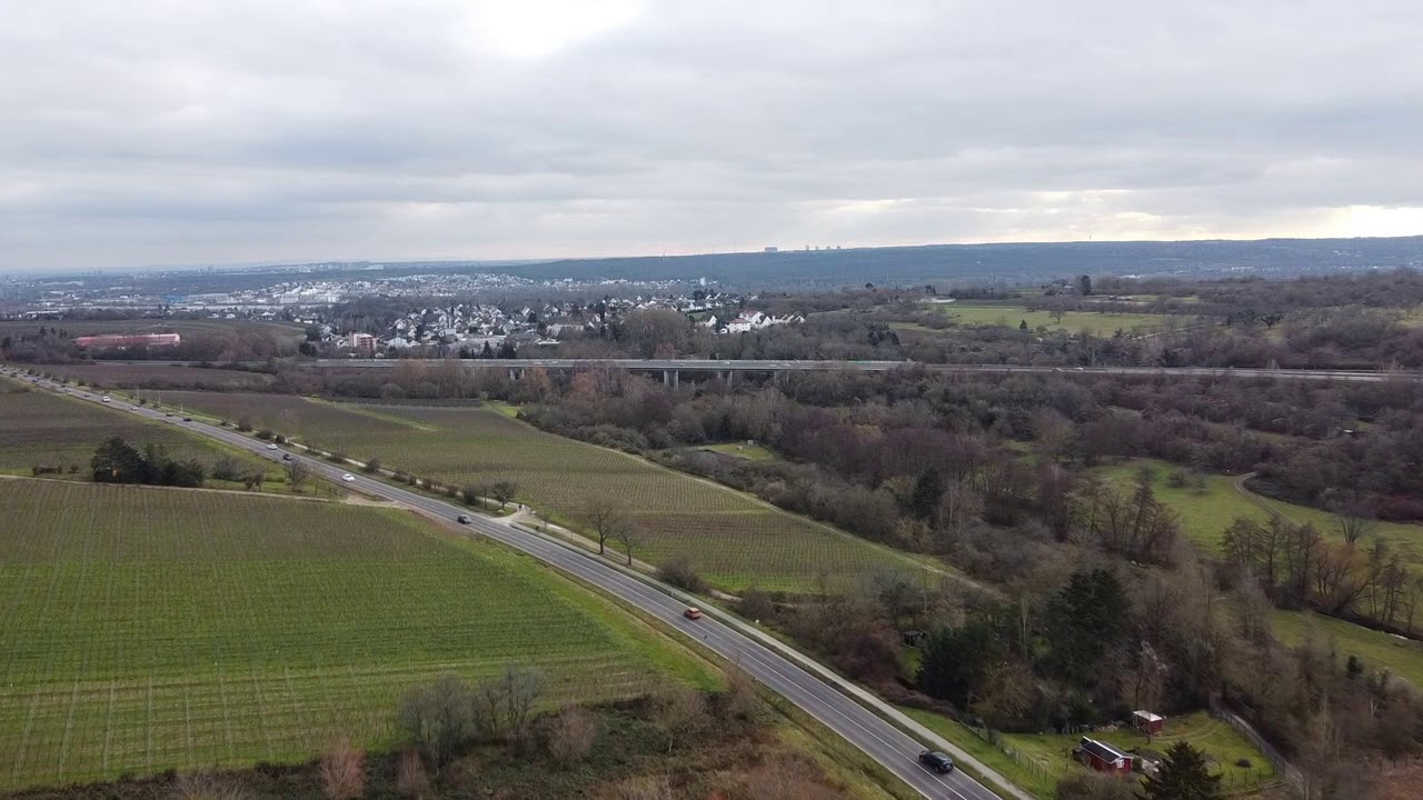 Rauenthal
