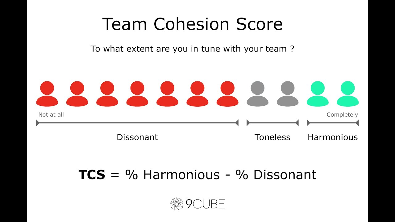 Webinar on How to Measure Team Cohesion