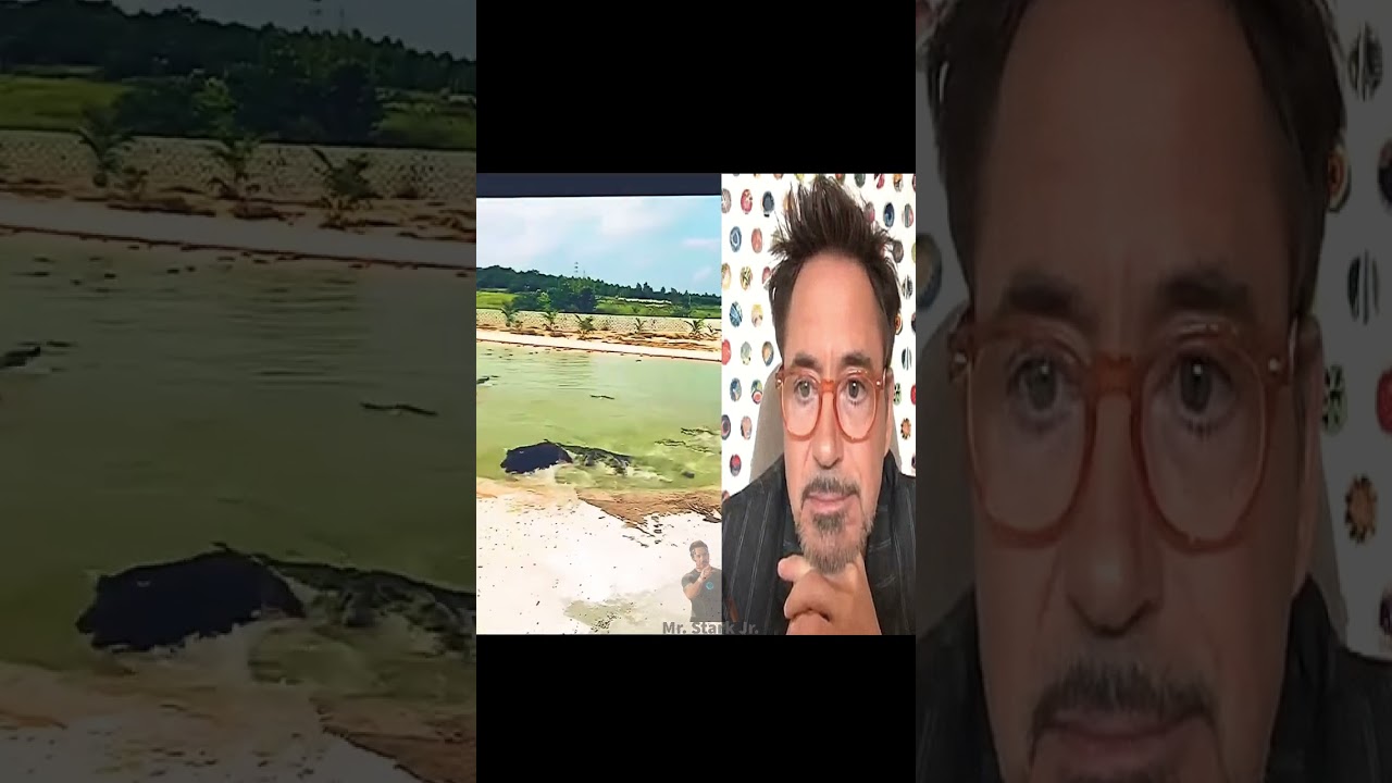 Mr. Stark Jr. React__crocodiles_having_lunch 