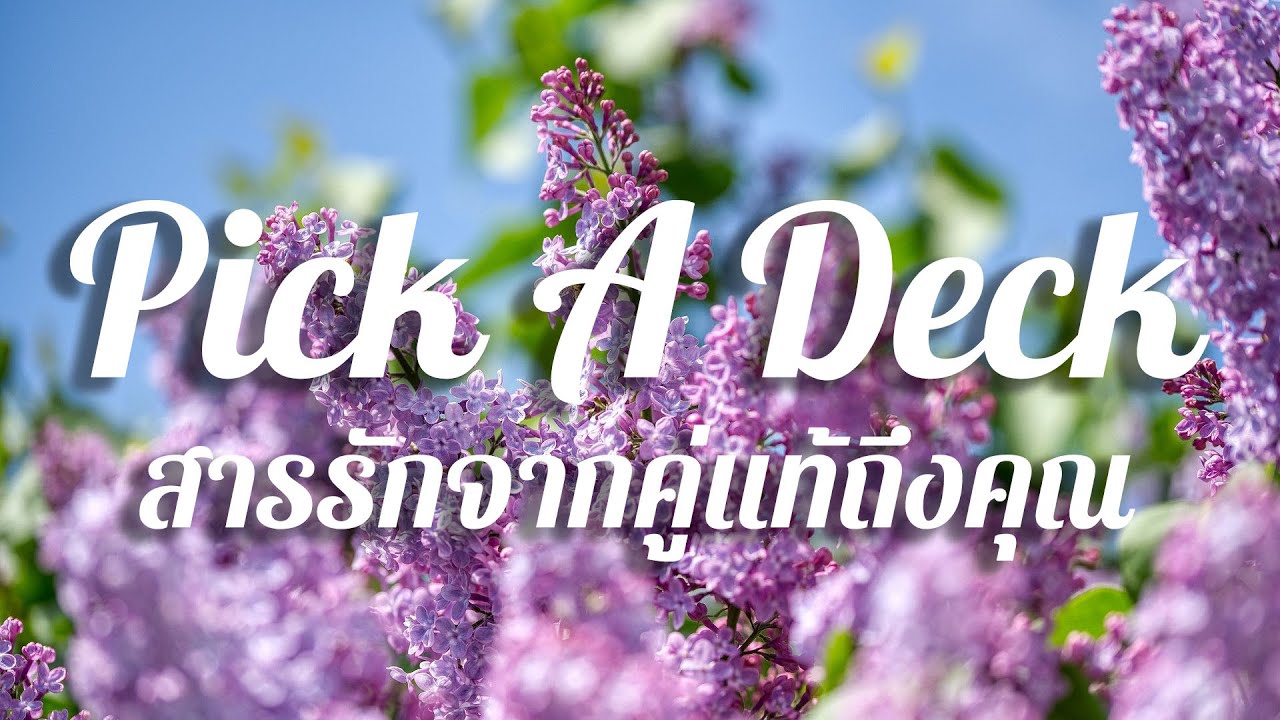 Pick a deck / สารรักจากคู่แท้ถึงคุณ