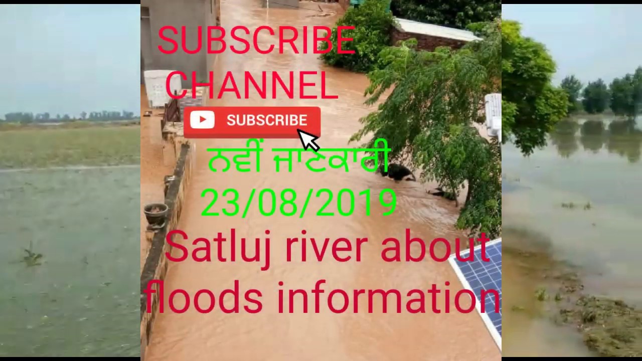 #SATLUJ #RIVER #NEWINFORMATION 2019  Water release for village