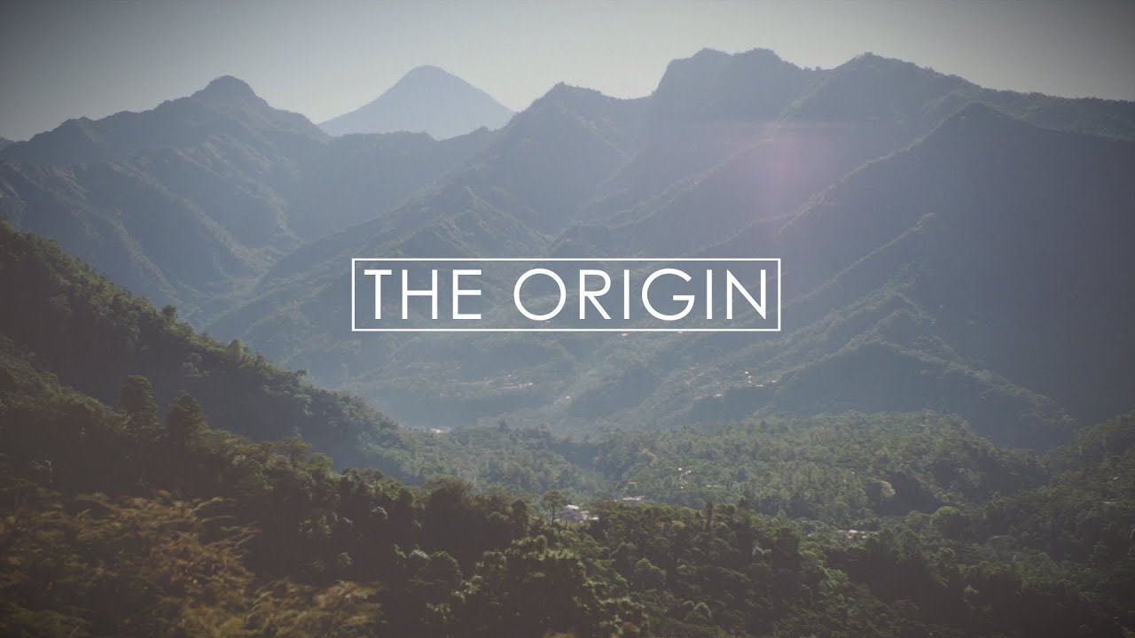 Small Batch Coffee - The Origin