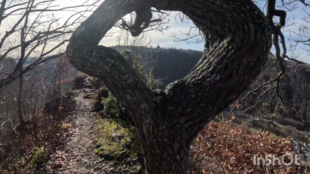 Burgenweg Eningen zum Locherstein 🚵🥾
