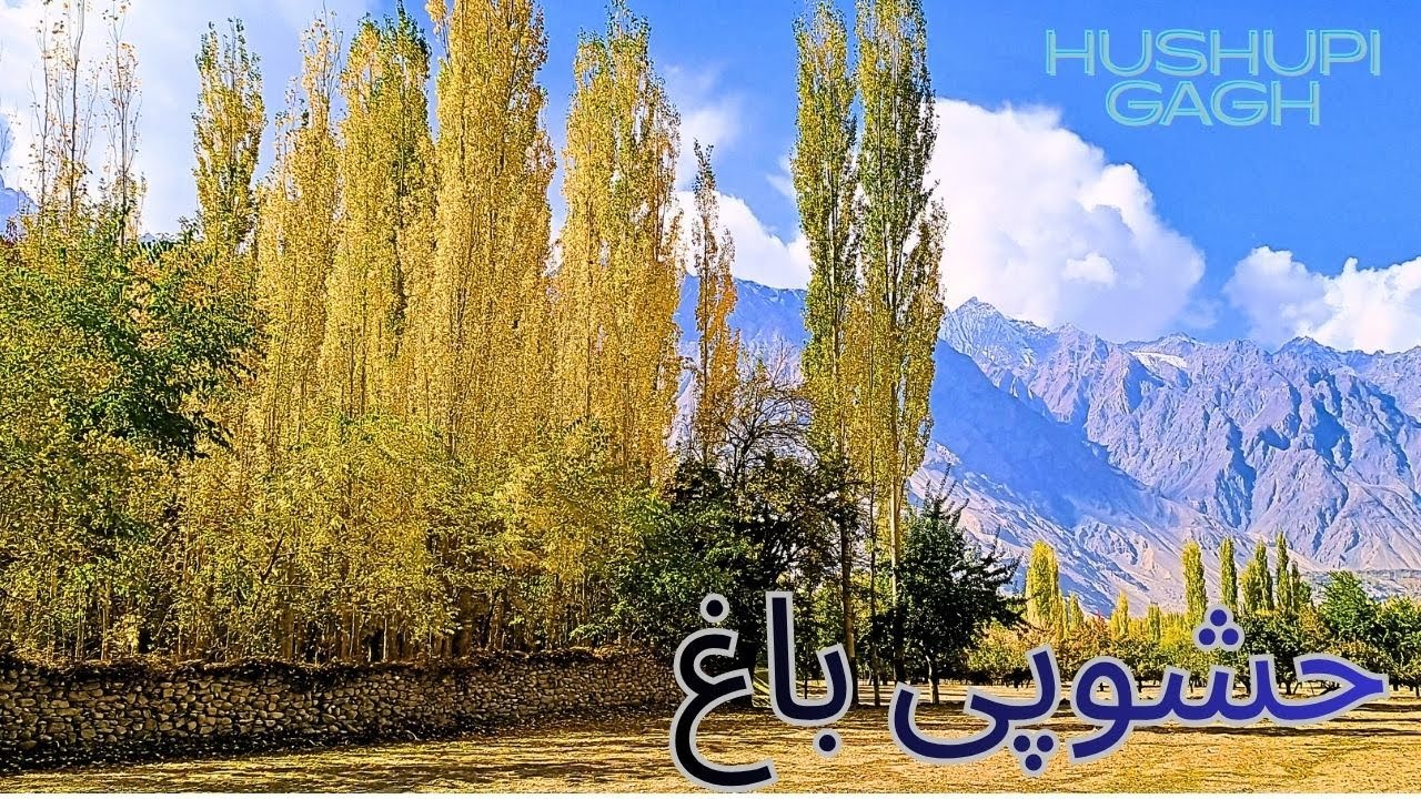 Hushupi bagh Shigar Valley Skardu #viralvlog #Plantresearch&Development