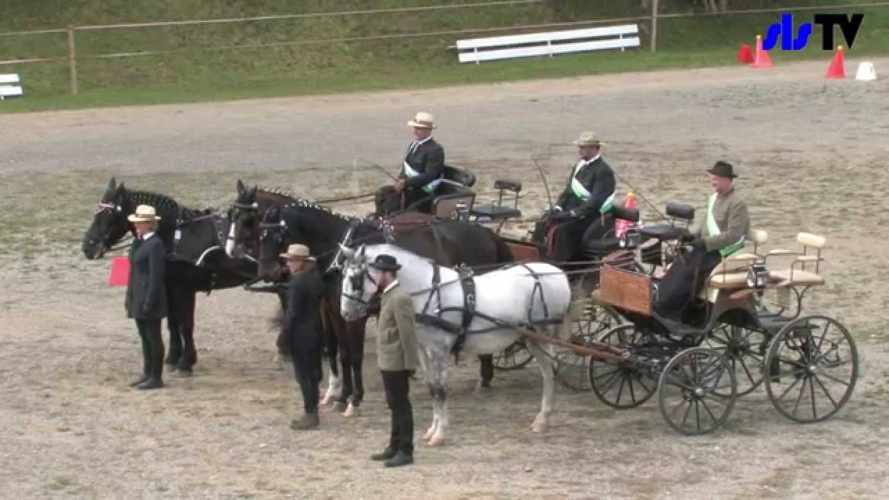 Pferdekutschen Cup 2015