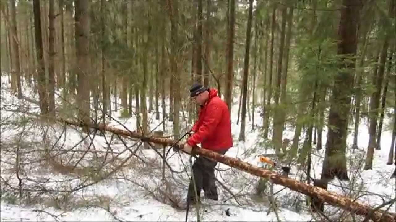 Как развести костёр в зимнем лесу. Поход выходного дня. ПВД