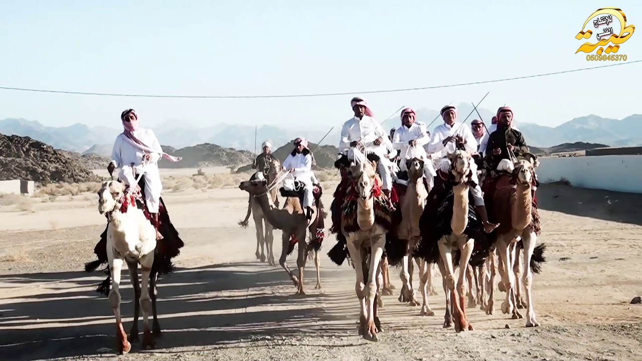 الهجن فى حفل زواج عيدعلي سعيد الوابصي البلوي