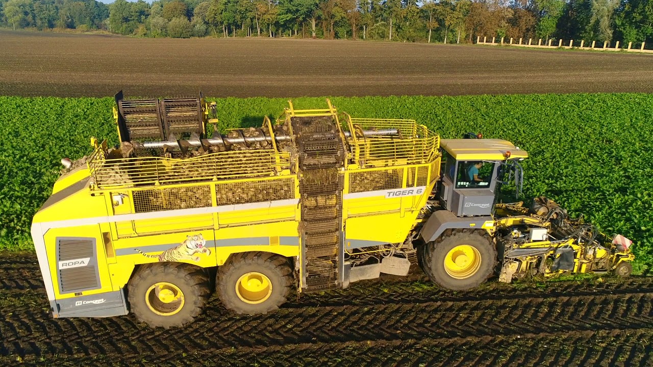 GR Lewandowscy - Podsumowanie Sezonu 2019.  [Oglądaj w HD]