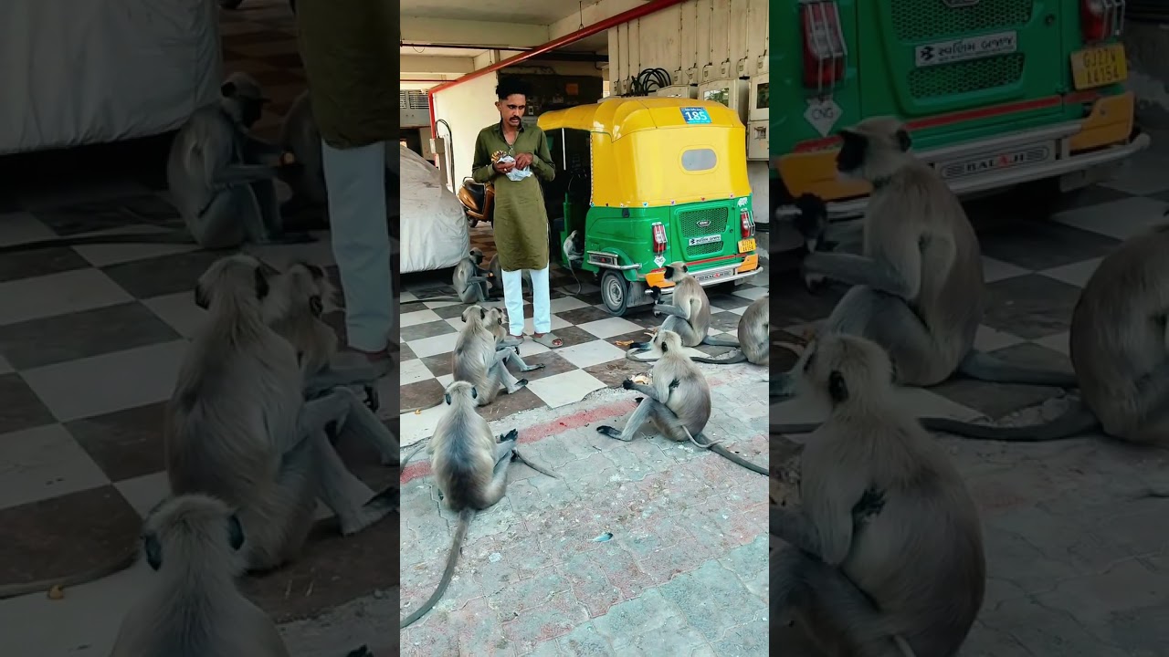 🐒🐵Hanuman king 👑👑 Subscribe please Bhaiyo 🙏🙏