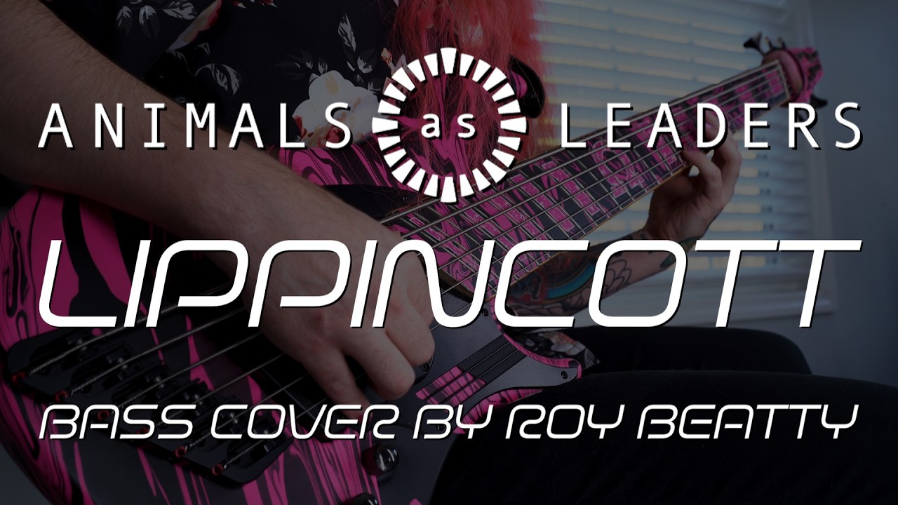 Animals As Leaders - Lippincott on a 6 String Bass
