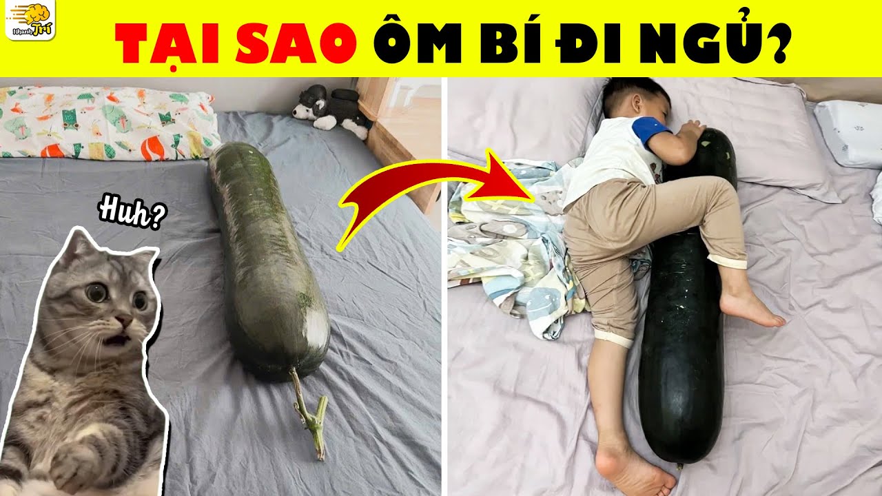 Đánh Thức Trí Tuệ Cùng 15 Câu Đố Này Giúp Bạn Hái Mưa Điểm 10 | Nhanh Trí