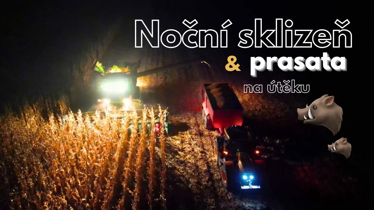 Nočn&iacute; sklizeň kukuřice 🌽 a divoč&aacute;ci na &uacute;těku 🐗💨 | Kombajn John Deere | 4K
