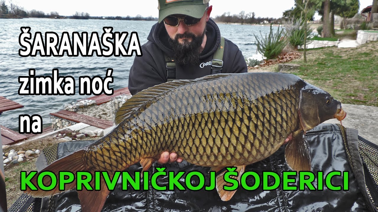 Zimski LJUSKAŠI i KARTAŠKI TROBOJ šaranaša 👉 ZIMSKA NOČ na Koprivničkoj Šoderici / VSP Igor Pavičić