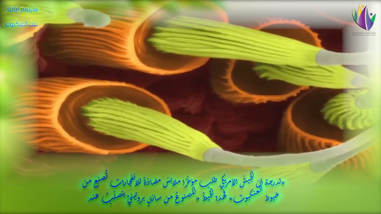 سَنُريْهِم آياتِنا - بَيۡتُ ٱلۡعَنكَبُوتِ
